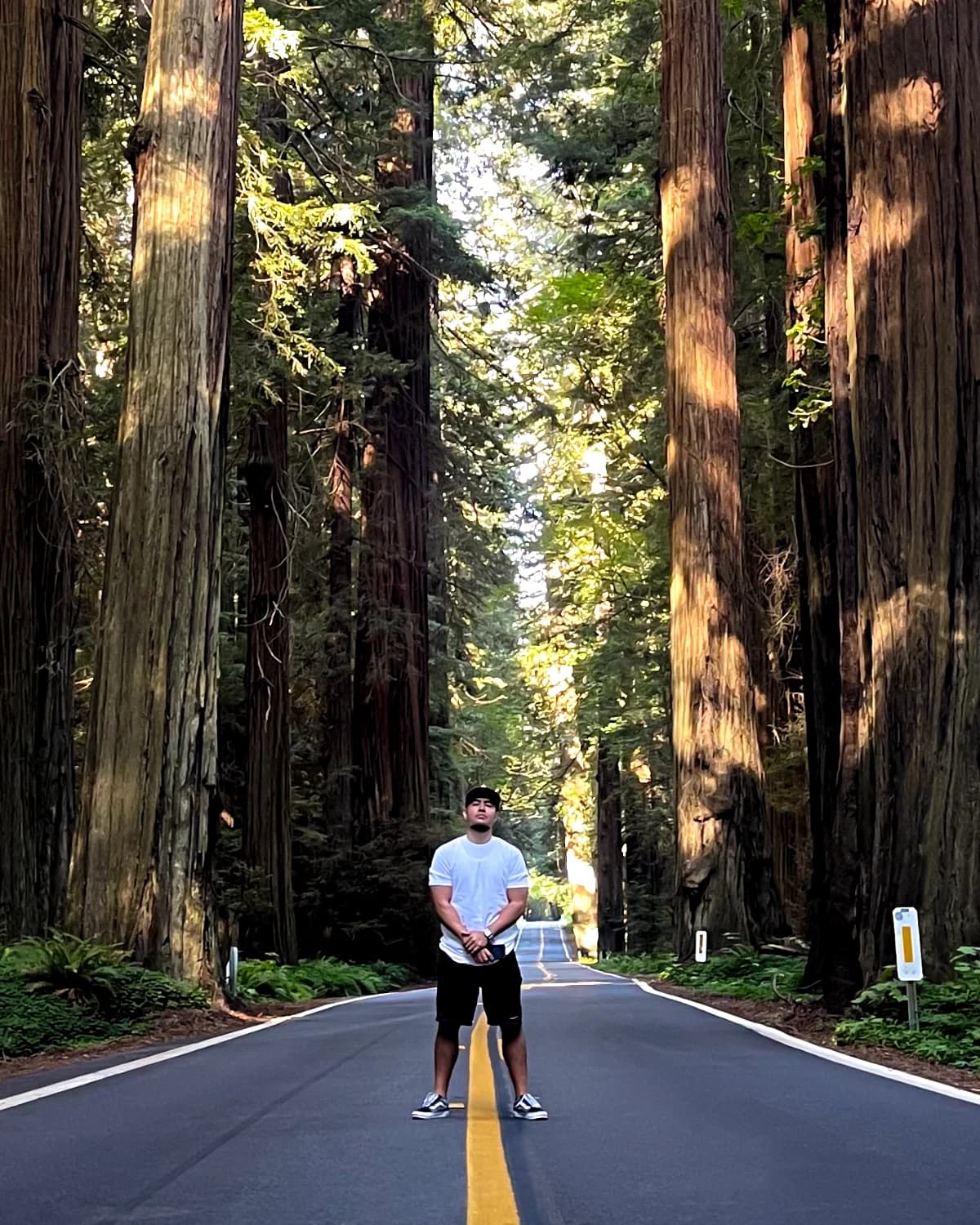 Standing on road between Redwood trees.